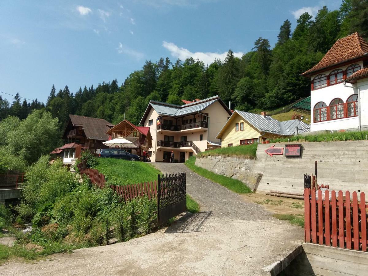 Lip Si Ely Hotel Dimbovicioara Exterior photo
